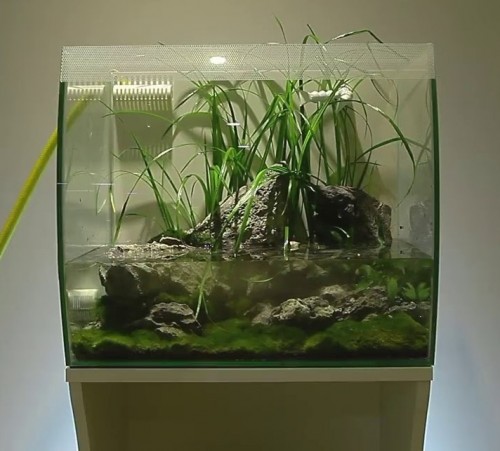 HAGEN Fluval Flex 34 L