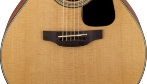 Takamine GN10CE