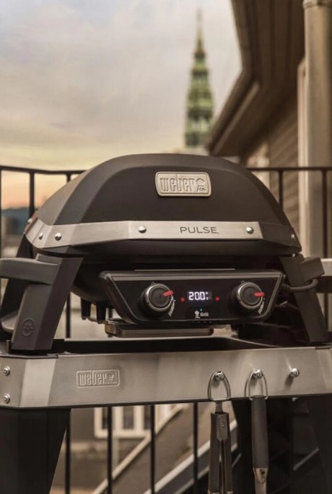 Weber Pulse 2000 82010079