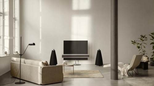 Bang&Olufsen BeoLab 20