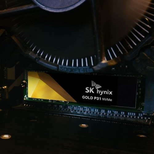 Hynix Gold P31