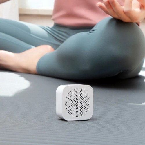 Xiaomi XiaoAI Portable Speaker