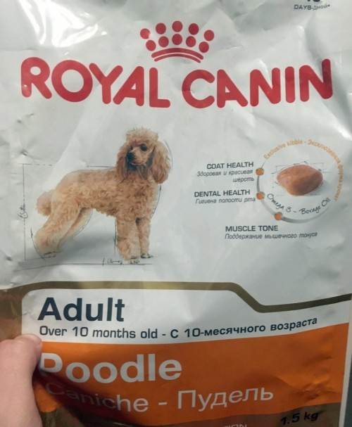 Royal Canin Poodle Adult 7.5 kg