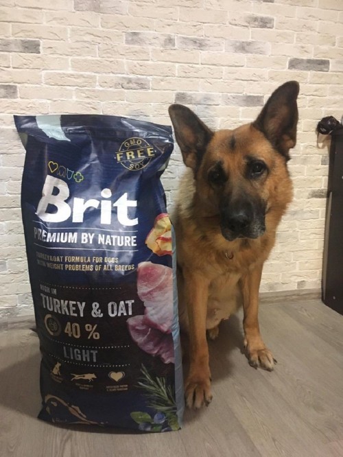 Brit Premium Light 15 kg