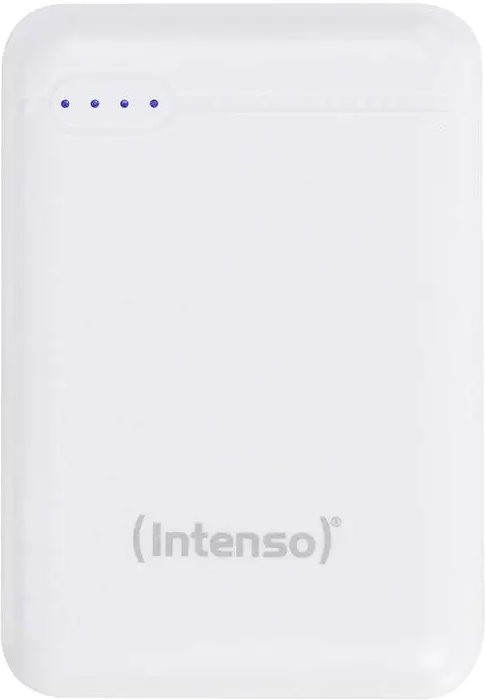 Intenso XS10000