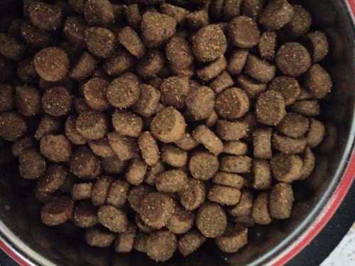 1st Choice Healthy Skin and Coat Salmon 0.9 kg