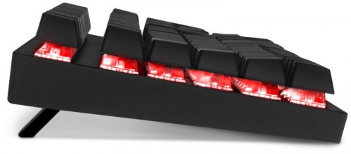 Connect IT Neo + Compact