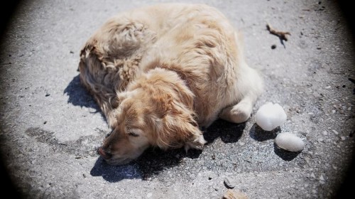 TTArtisan 35mm f/1.4