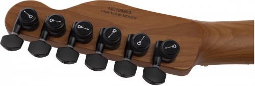 Charvel Pro-Mod So-Cal Style 2 24 HH 2PT CM Ash