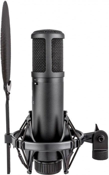 sE Electronics sE2200