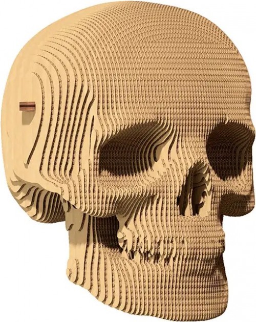 Сartonic Skull