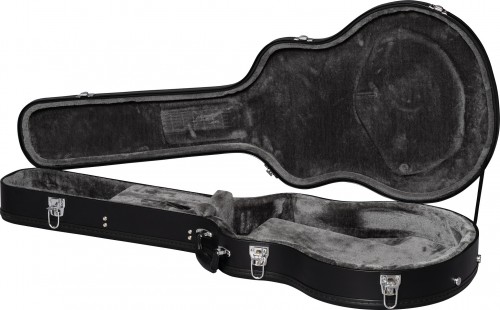 Epiphone Dave Grohl DG-335