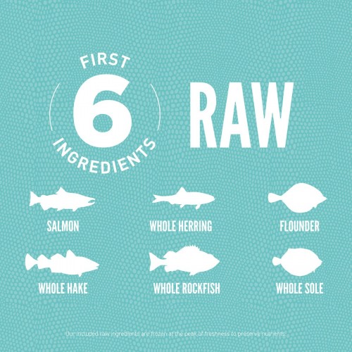 Orijen Marine Fish Small Breed 4.5 kg