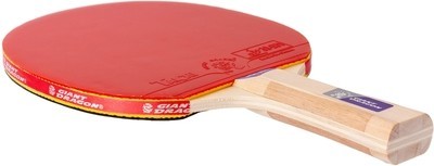 GIANT DRAGON Taichi P40+