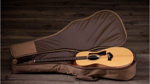 Taylor Academy 12e