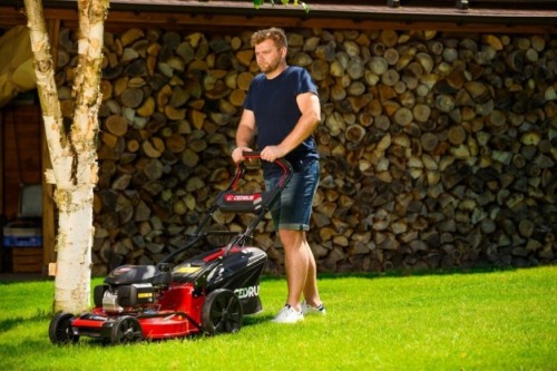 Cedrus KS56S-H