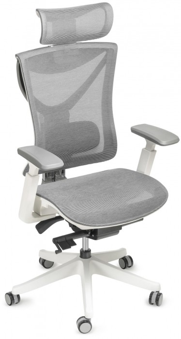 ADAPWORK S1 Mesh Senior ErgoChair