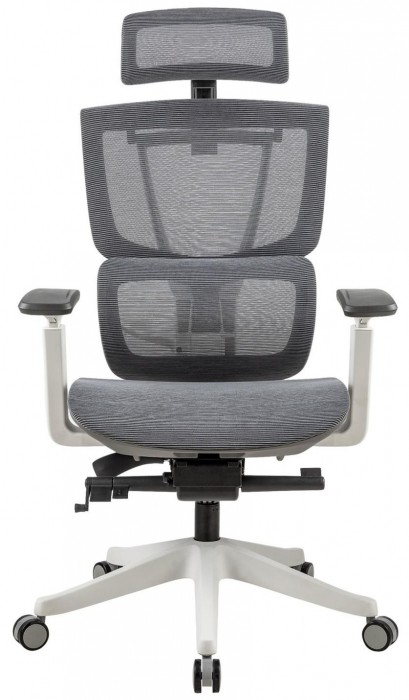 ADAPWORK S2 Mesh Senior ErgoChair