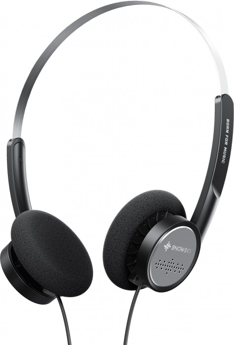 FiiO Snowsky Wind