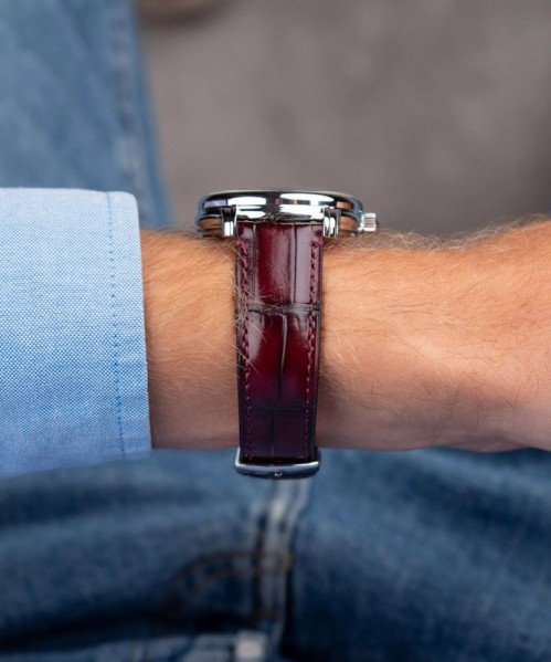 Zeppelin LZ120 Bodensee 8166-5