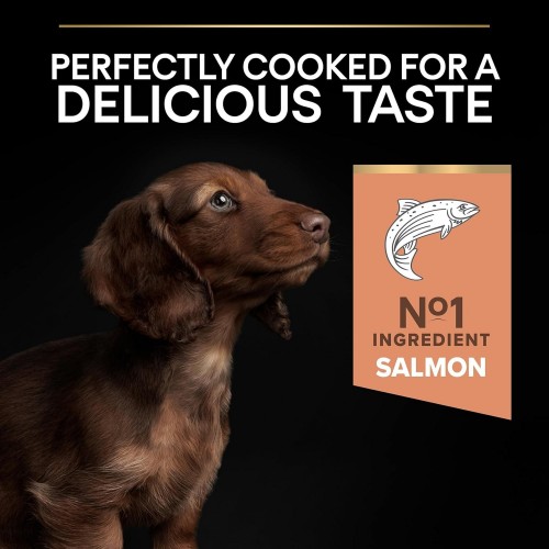 Pro Plan Adult Small/Mini Salmon 700 g