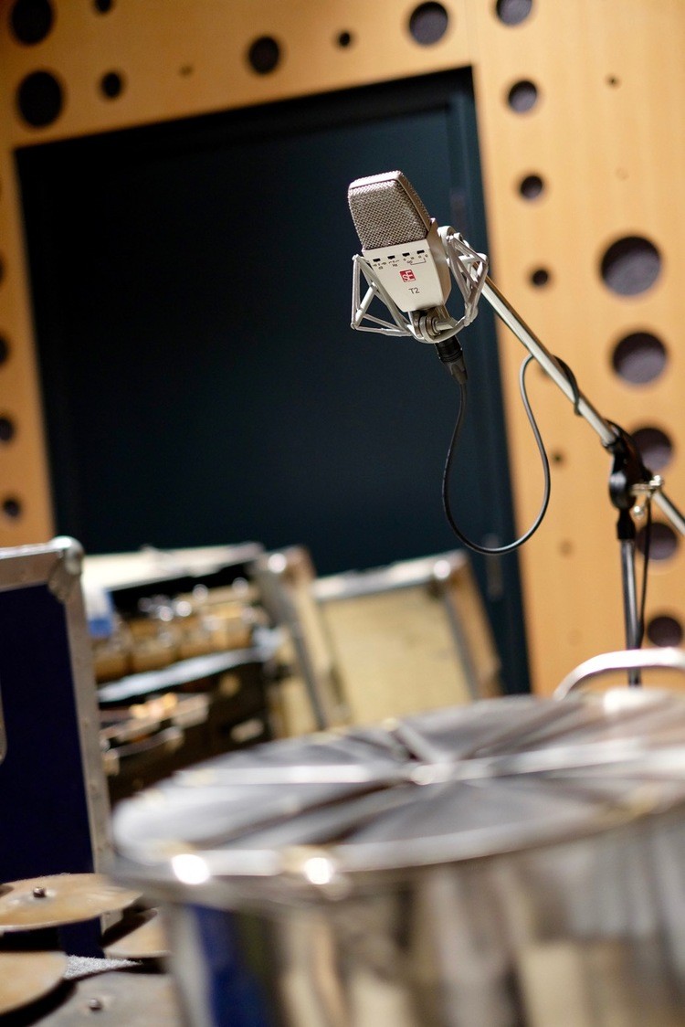 Микрофон sE Electronics T2