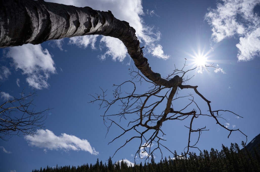 Объектив Sony 24mm f/2.8 G FE (SEL-24F28)