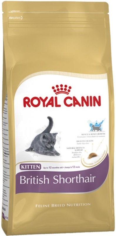 royal canin kitten british shorthair 10kg