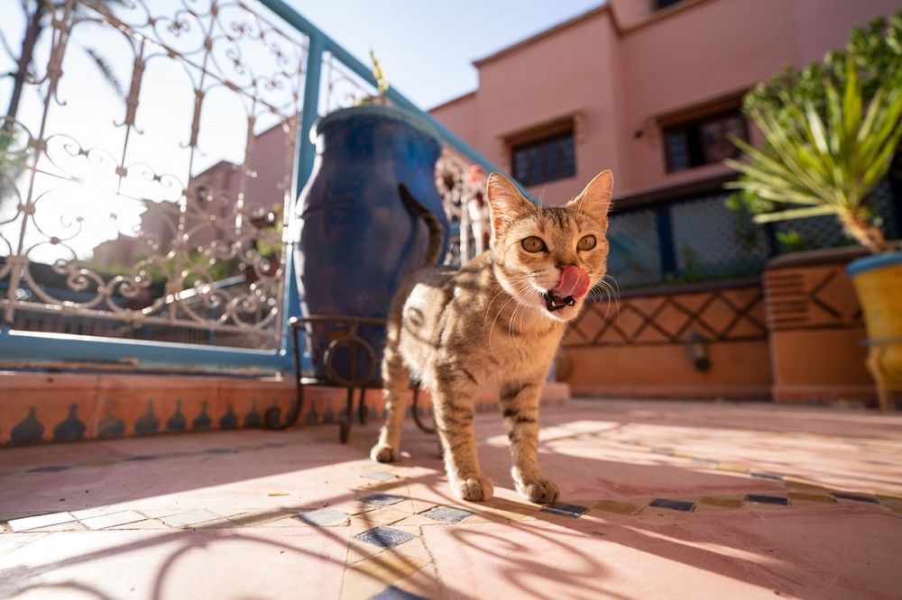 Объектив Tamron 17-28mm f/2.8 RXD Di III