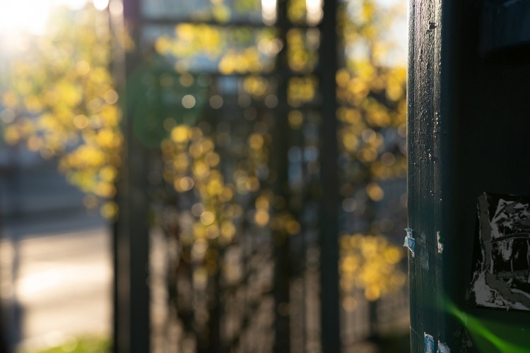 Объектив Sigma 65mm f/2.0 DG DN