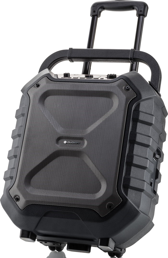 Аудиосистема Gogen BPS 898