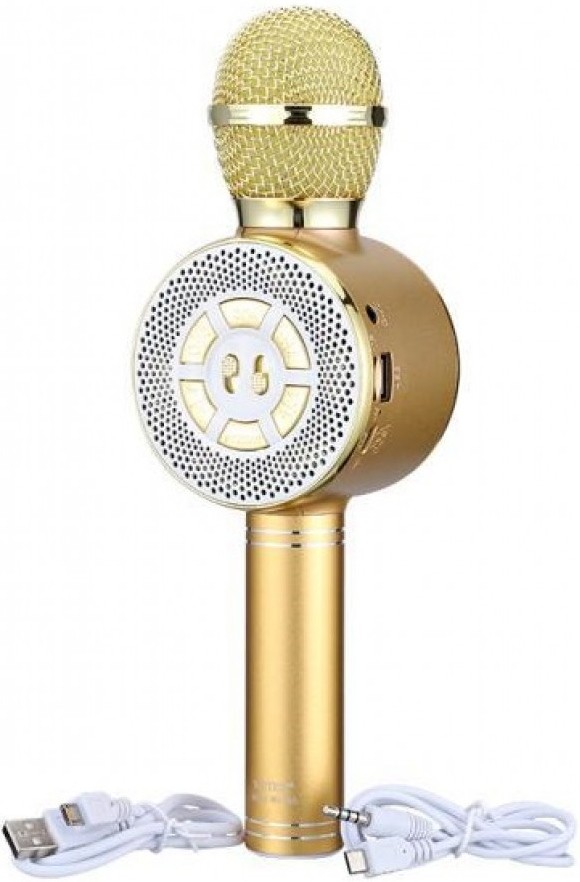 Микрофон WSTER WS-669