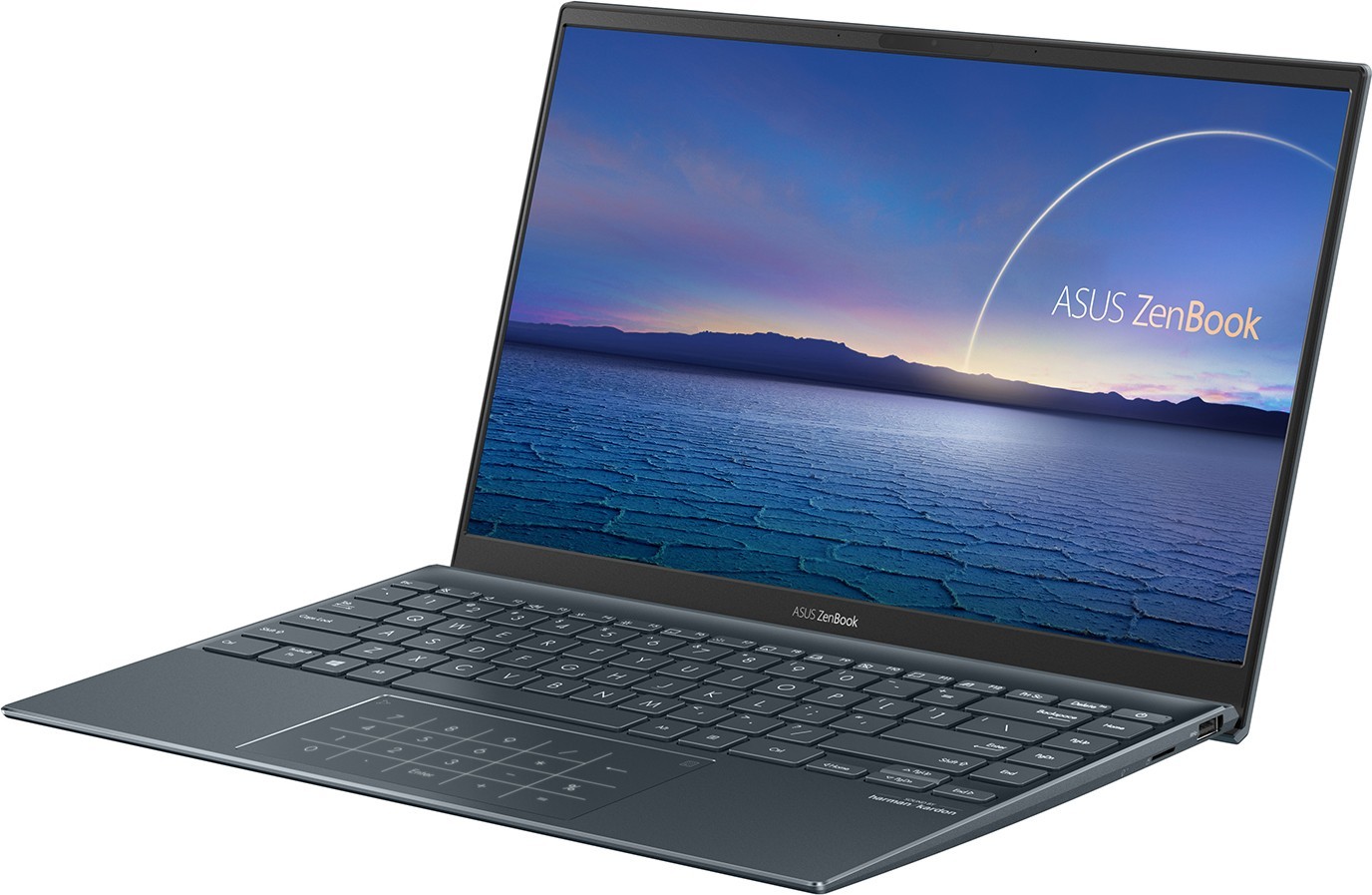ASUS ZenBook 14インチ UM425IA-AM16TS Ноутбук Asus ZenBook 14 UM425IA (UM425IA-AM075). Огляди
