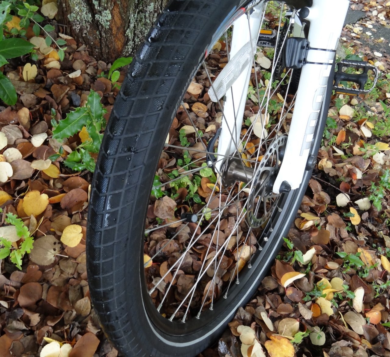 schwalbe big ben plus 27.5