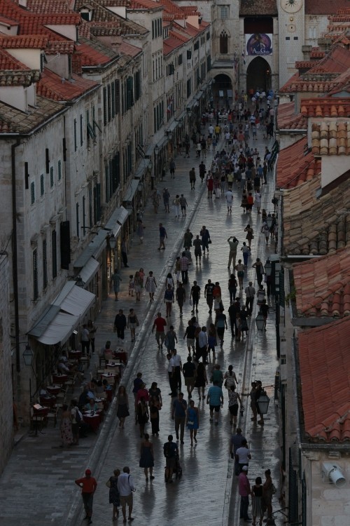 Объектив Canon 55-250mm f/4.0-5.6 EF-S IS STM (8546B005)