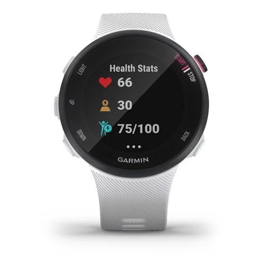 garmin forerunner 45 s